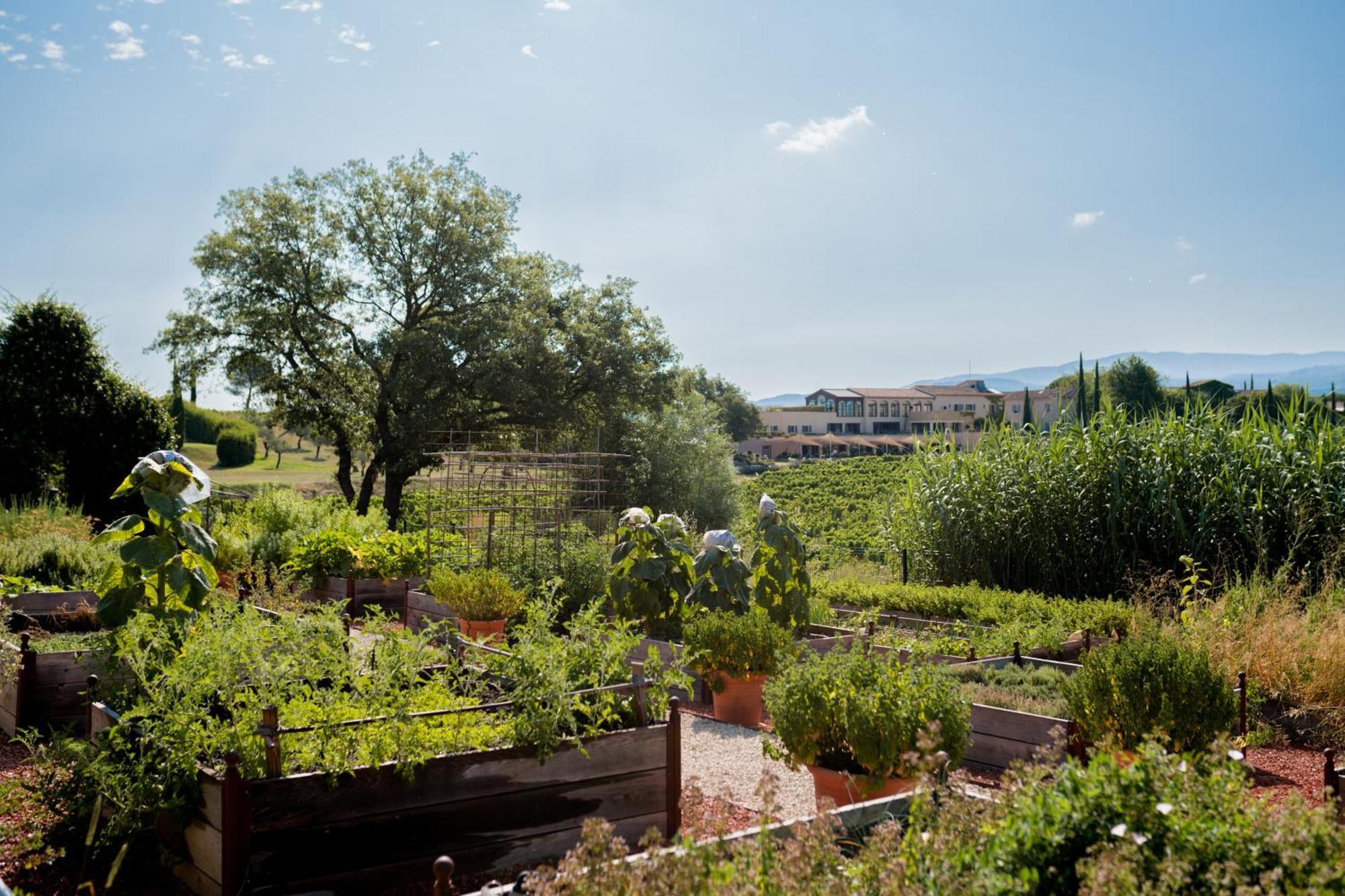Coquillade Provence Hotel Gargas  Exterior photo